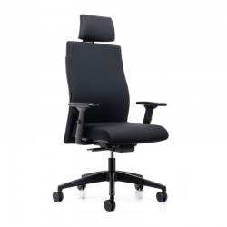 Chaise de bureau ergonomique avec têtière - Runner 179RS Interstuhl