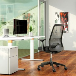 Fauteuil de bureau ergonomique Runner EV257 Interstuhl